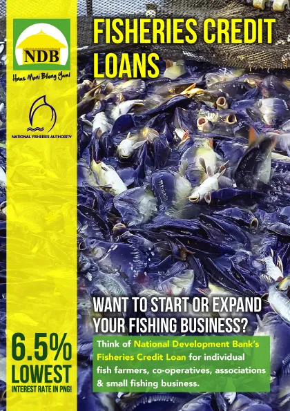 NDB flyer: Fisheries Credit Loans at 6.5%