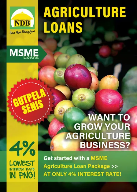 NDB brochure: Agriculture loans